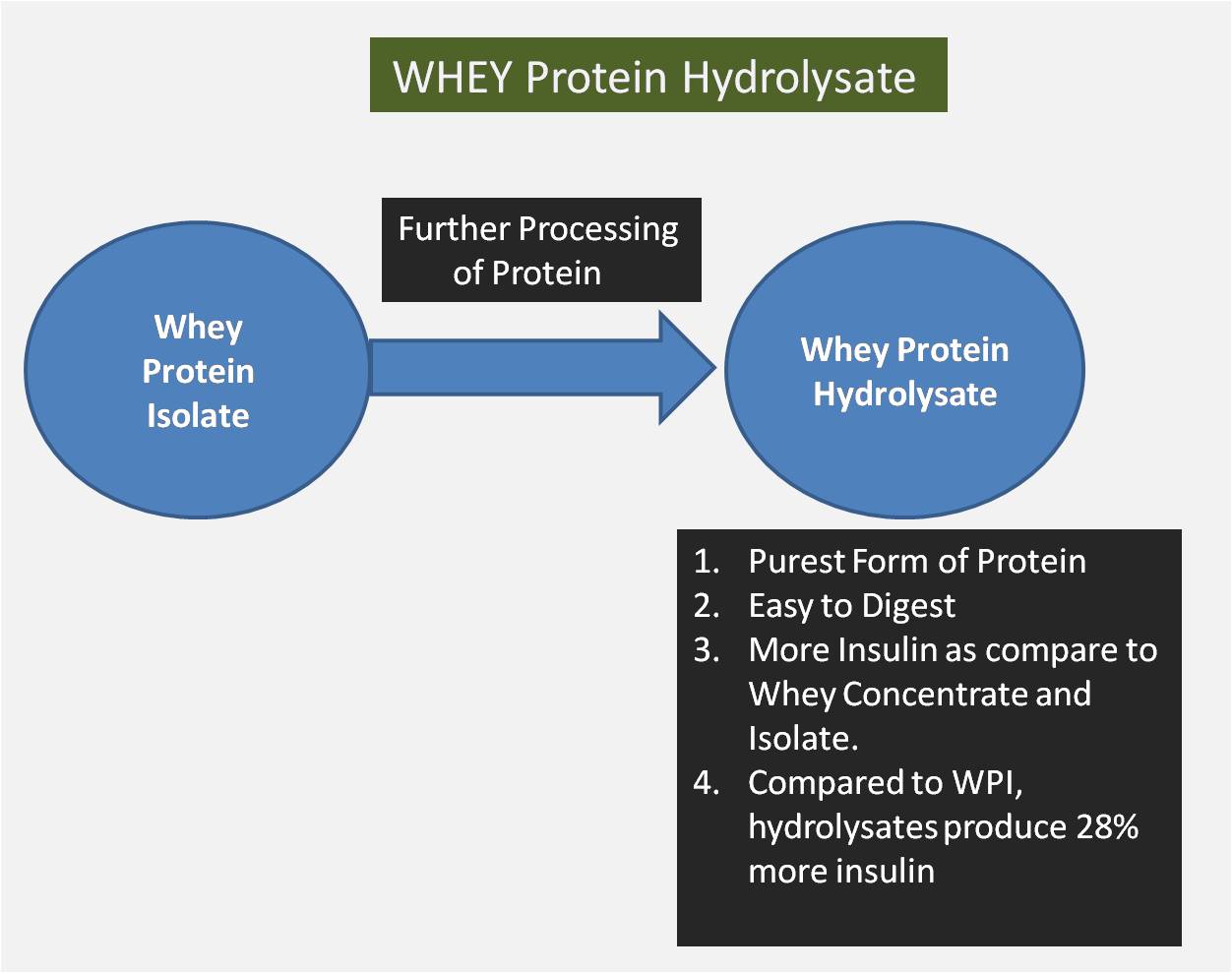 WHEY Protein Hydrolysate