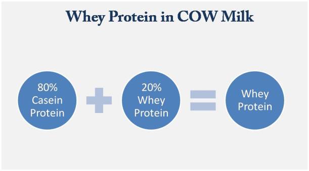 Content of Whey Protein